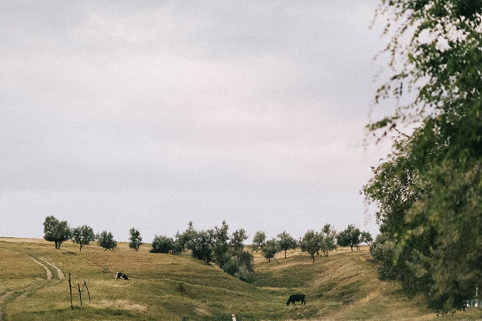 The unspoiled beauty of the greenest country in Europe, Moldova.