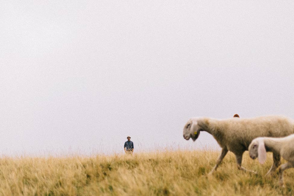 Sheep interrupt this foggy mountain couple session in Malcesine, Italy.