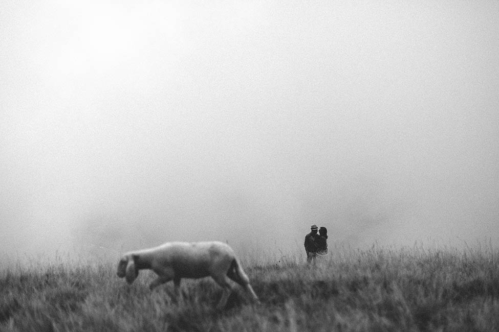 Fine art portraits with animals on a mountain top with adventure wedding photographer.